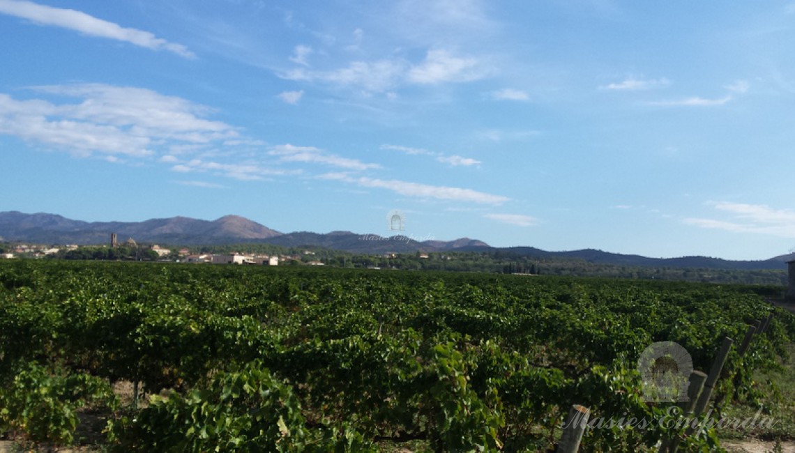 Vistas del entorno de la masía 