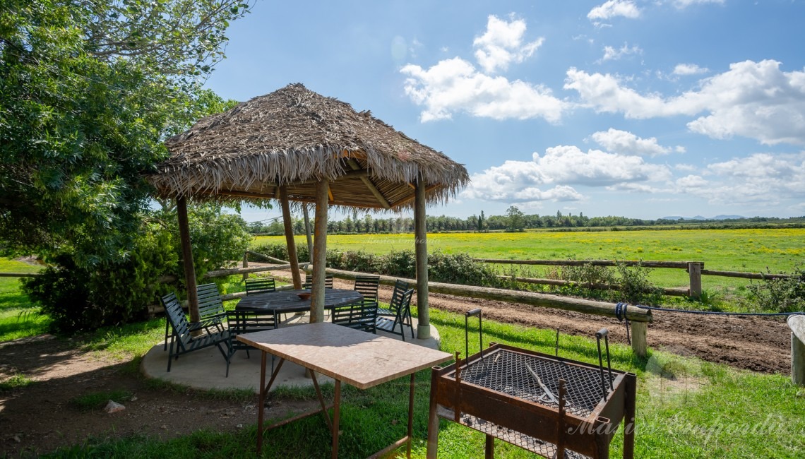 Pérgola jardín 