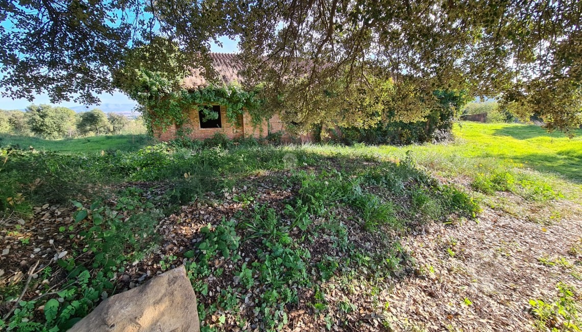 Vistas de un lateral de la masía