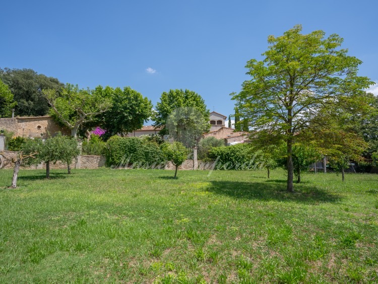 Vistas del jardín 